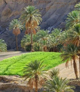 پارک ظفر 4