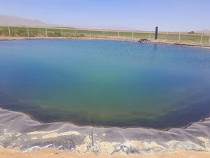 مزرعه برادران یونسی