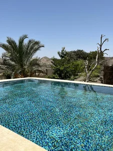 بومگردی چیکو