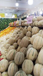 سوپر میوه رضا