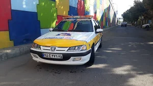 خدمات خودرویی پژو