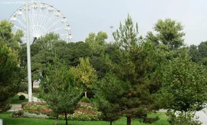 بستنی طهران