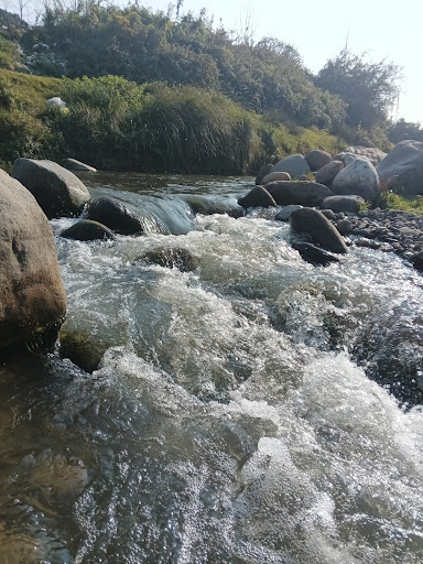 سجاد رود