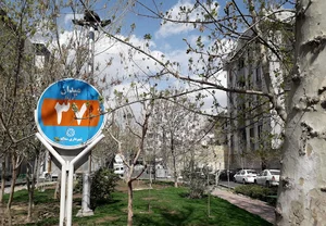 میدان ۳۷