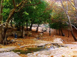 مشاور املاک زاگرس