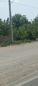 قلعه کامکار