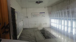 کارشناسی رنگ زحمت کش 4