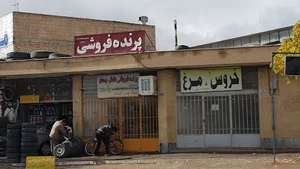پرنده فروشی نقش جهان