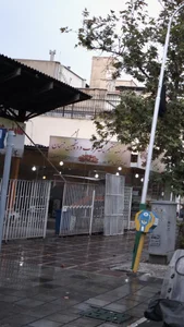 عرضه مستقیم پسته مرغوب و دستچین رفسنجان 2