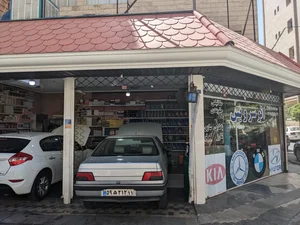 اتو سرویس مدرن 2