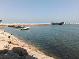 یدکی قایق یاماها