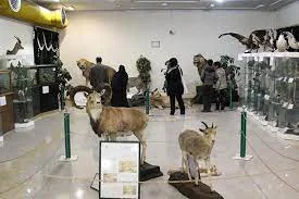 موزه تاریخ طبیعی 3