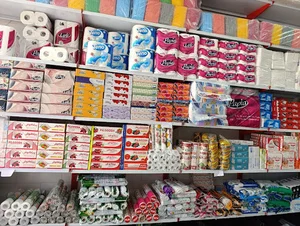 ظروف یکبار مصرف آریا(انداچه)