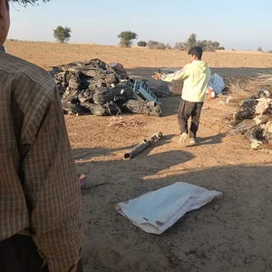 مرغداری زرده طلایی