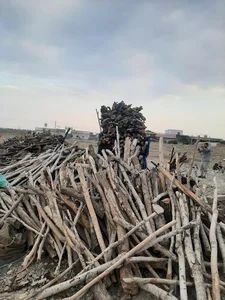 خرید و فروش چوب