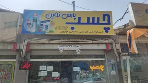 پارس نوین