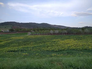 کوخ حاج یاسین