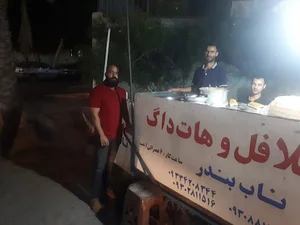فلافل ناب بندر