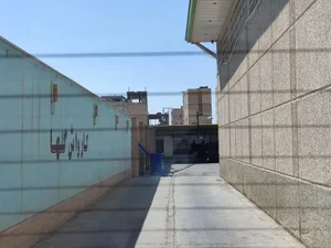کارواش گلها 2