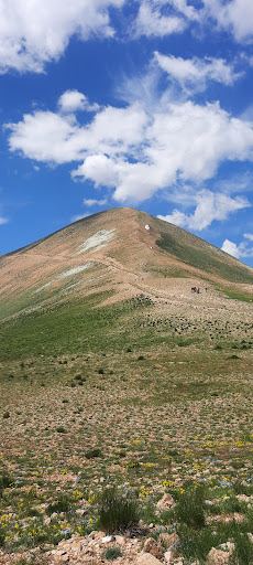 روستای سید بیگلو