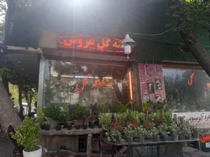 گلفروشی خانه گل 5