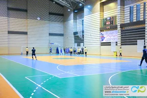موسسه فرهنگی ورزشی رفاهی کشتیرانی جمهوری اسلامی ایران