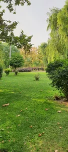 بوستان پویش