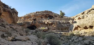 شاه نشین