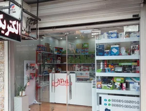 الکتریکی سلطانی 2