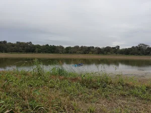 پارک جنگلی جزین