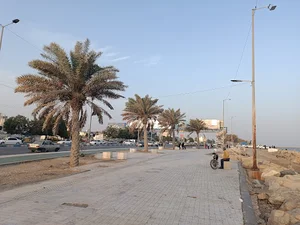 کارواش ساحلی پویا