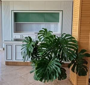 کابینت جلیلوند(دکورال)