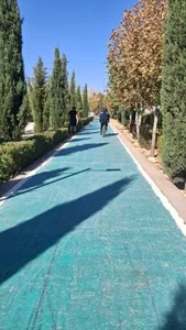 پیاده رو سلامت شیراز 2