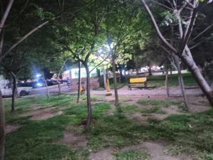 پارک سلمان ساوجی 2