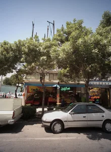 میوه فروشی دستچین 2