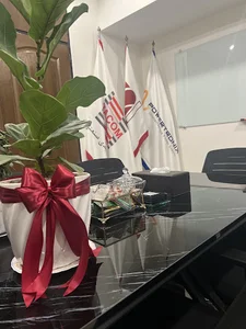 یو پی اس تکام
