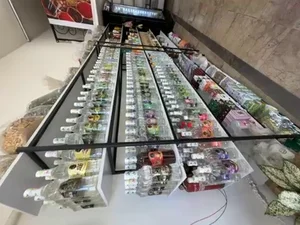 عطاری ابن سینا 3