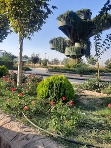 درخت فضایی دراک