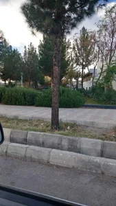 پارک آزادگان 2