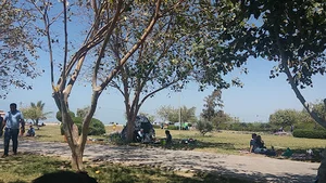 بوستان ساحلی صدف