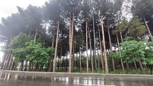 باغ ایرانی