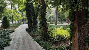 پارک همافر
