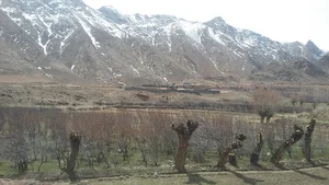 یخچال خیابان گل کوکب