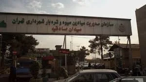 تولیدی سوزن طلا