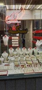 زرگری فردین