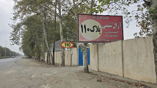 رویش الکتریک