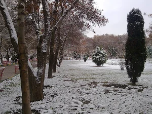 بوستان امین