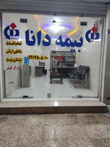 نمایندگی بیمه دانا 2