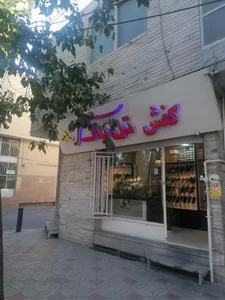 کفش تن پاک 2