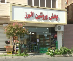 پروتئین البرز 2